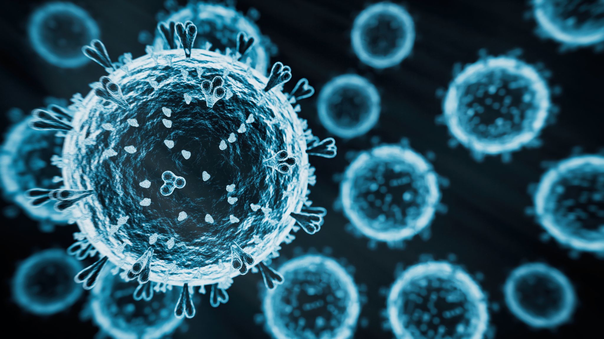 H5N1 strain of bird flu has potential to become pandemic, says UK ...
