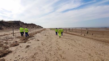 Race to clean up billions of plastic 'nurdles' that washed up in UK after tanker crash WTX News A clean-up team on Holme Beach in Norfolk. Pic: West Norfolk Council