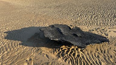 Race to clean up billions of plastic 'nurdles' that washed up in UK after tanker crash WTX News A clump of nurdles at the Titchwell Marsh reserve. Pic: RSPB