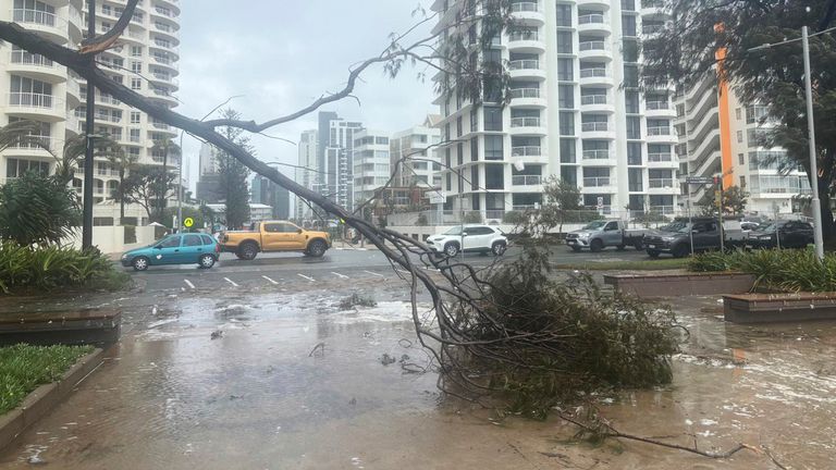 Sebuah pohon terletak di depan pantai mengikuti topan Alfred di Gold Coast, Australia, Sabtu, 8 Maret 2025. (Foto AP/John Pye)