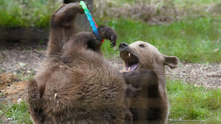 Boki playing. Pic: PA