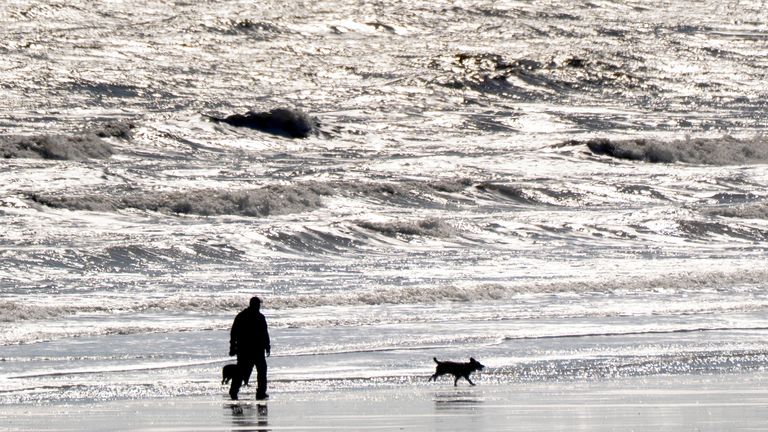A person walks their dogs along the beach in sunny weather in Bridlington. Pic: PA