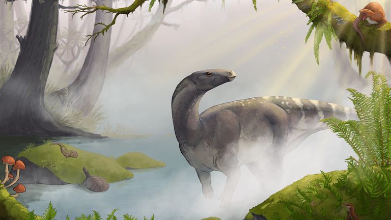 Elgol dinosaur artist impression. Pic: NMS/Maija Karala