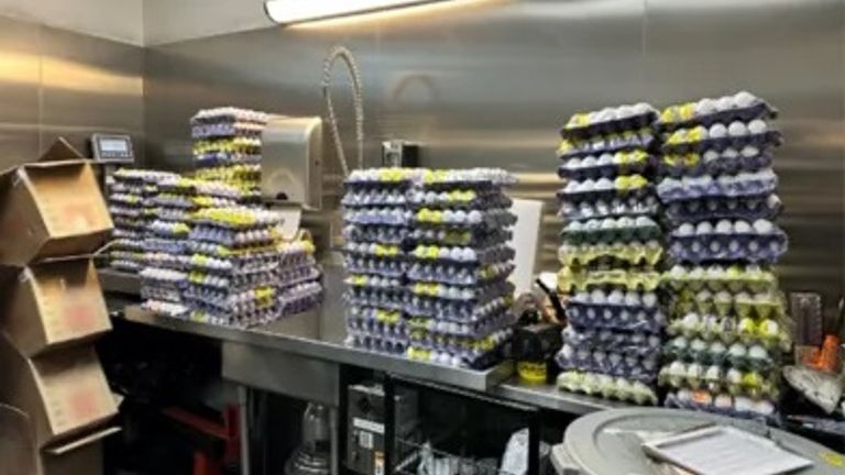 Illegal eggs seized by US border force. Pic: US Customs and Border Protection