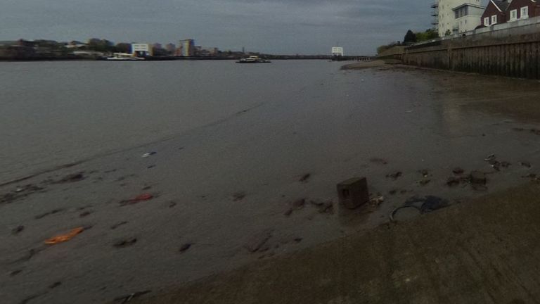 The girl entered the River Thames in east London near London City Airport, according to police. Pic: Google