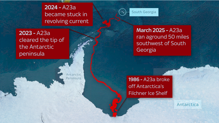 Scientists who have used satellites to track the iceberg's decades-long path