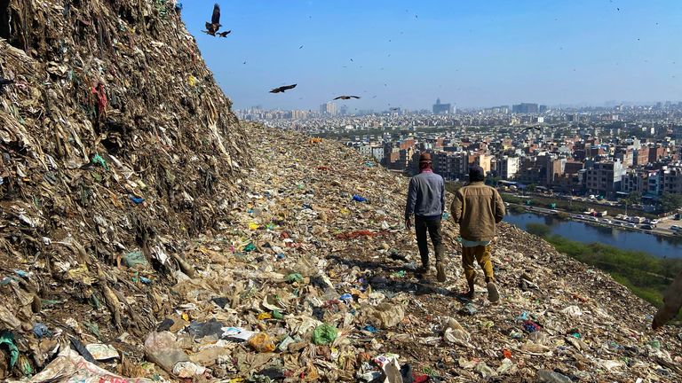 On top of the garbage mountain