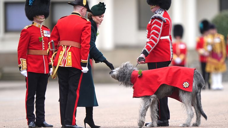 The Princess of Wales pets Seamus, the Irish Guards mascot during a visit to the Irish Guards for their St Patrick's Day Parade at Wellington Barracks.
Pic: PA