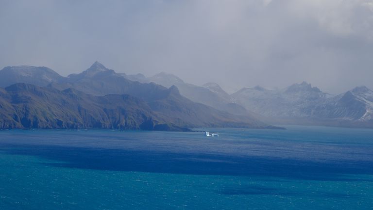 A still from a small island in South Georgia, Tom Clark visited and flew to the world's largest iceberg codename A23A. No credit required