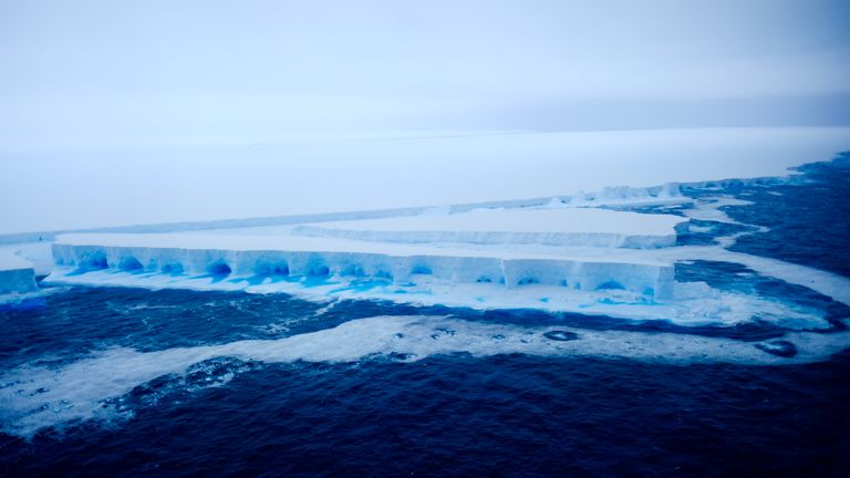 SNILTS SNI du plus grand iceberg du monde a nommé A23A visité par Tom Clarke, à environ 80 kilomètres de la petite île de Géorgie du Sud. Aucun crédit nécessaire