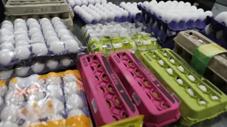 An illegal egg seized by US Border Forces. Photo: US Customs and Border Security