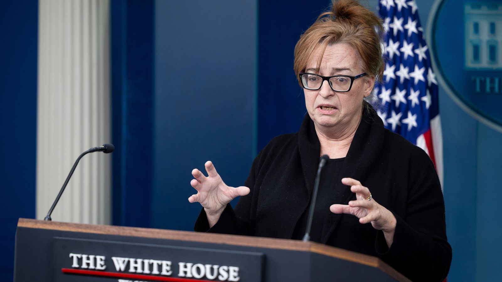 Mother of woman killed by illegal immigrant gives personal testimony at ...