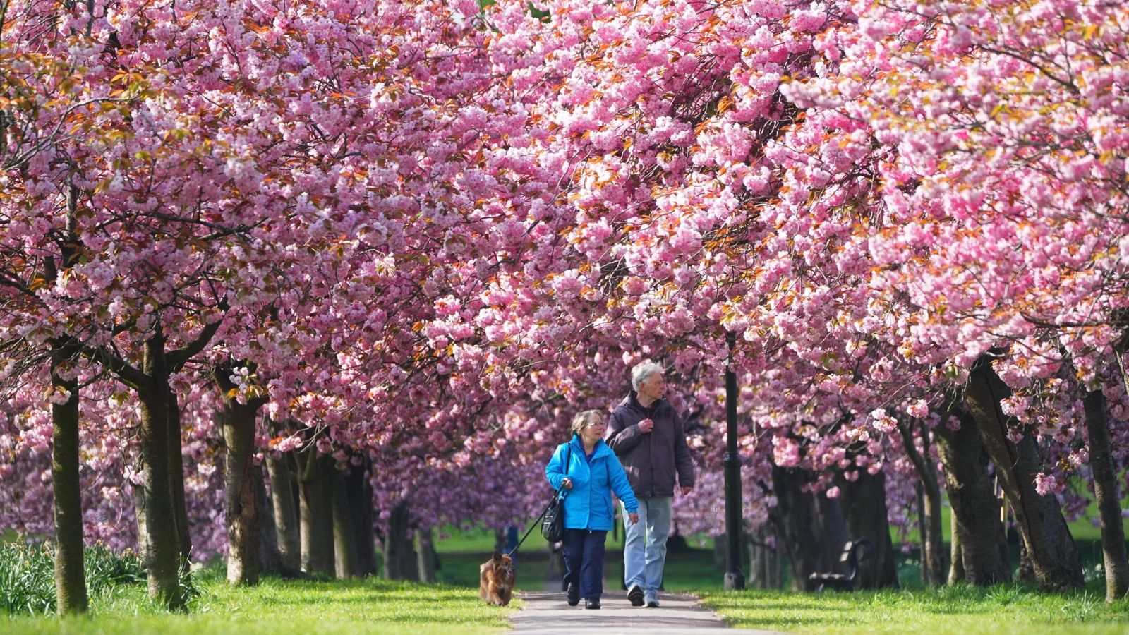 UK weather: Large parts of country set to be warm and sunny early next week