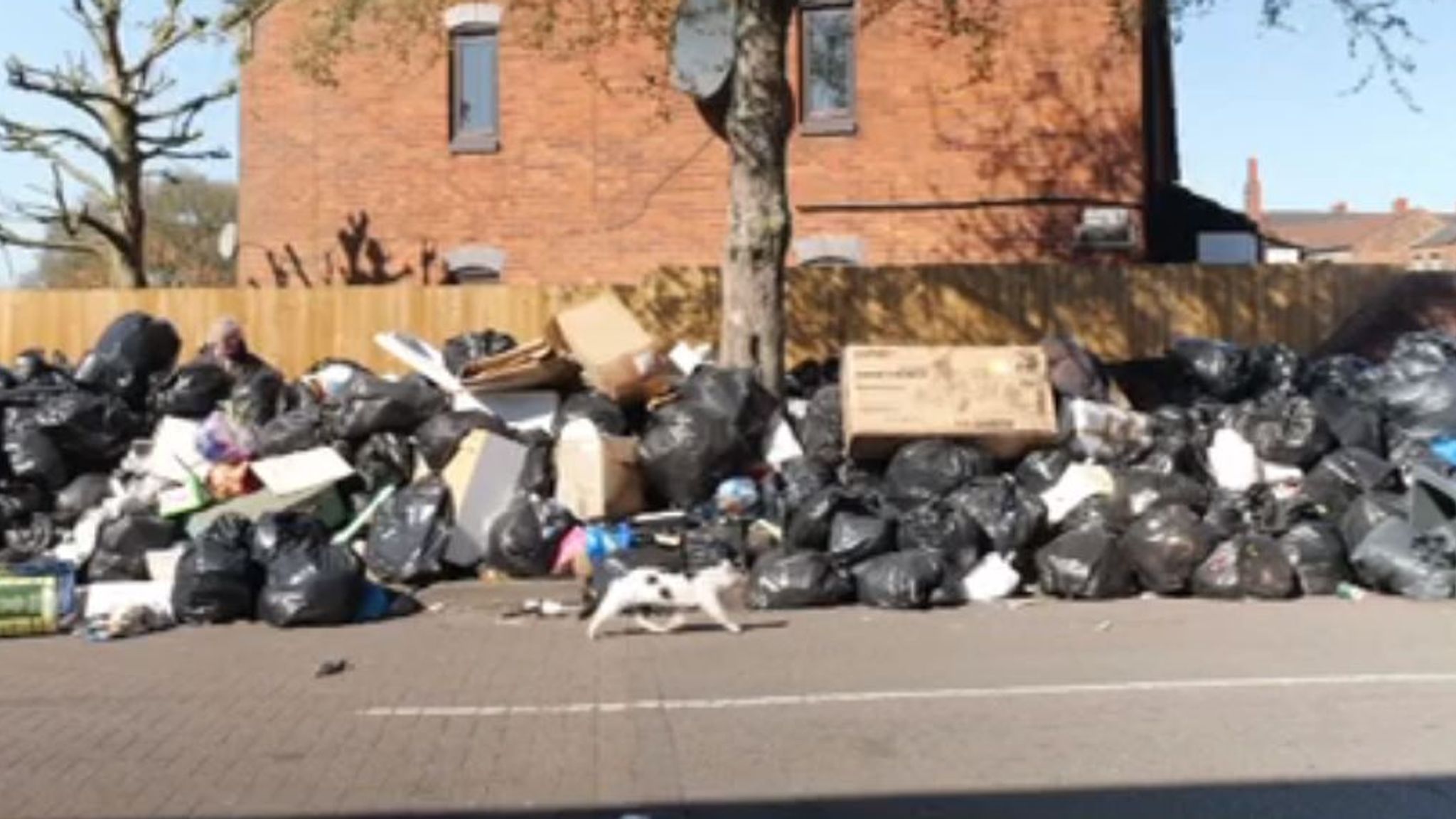 'It's just nasty': Birmingham residents 'overwhelmed' by foul stench ...
