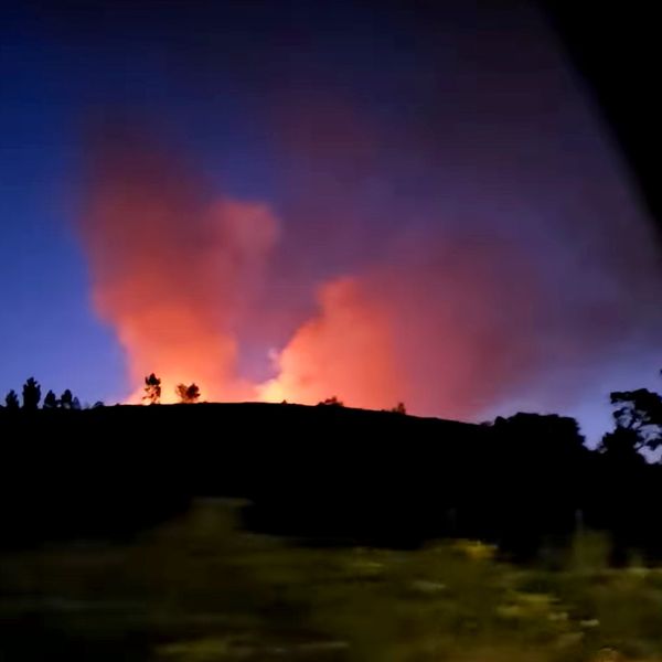 The fire at Canford Heath.
Pic: Rachel Hussey/PA
