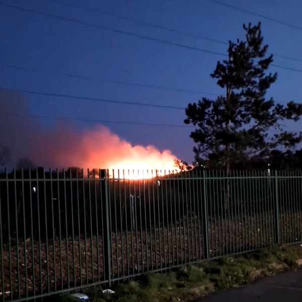 The fire at Canford Heath.
Pic: Nigel Ames/PA