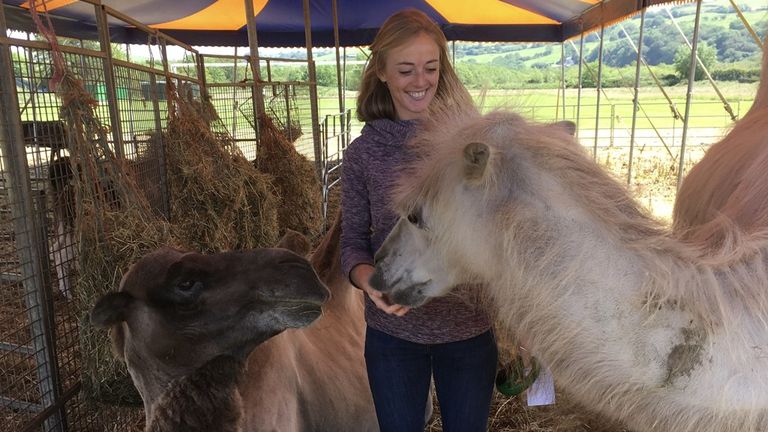 Dr Hannah Hunt is a mixed animal vet at Milfeddygon Ystwyth Vets in Aberystwyth.