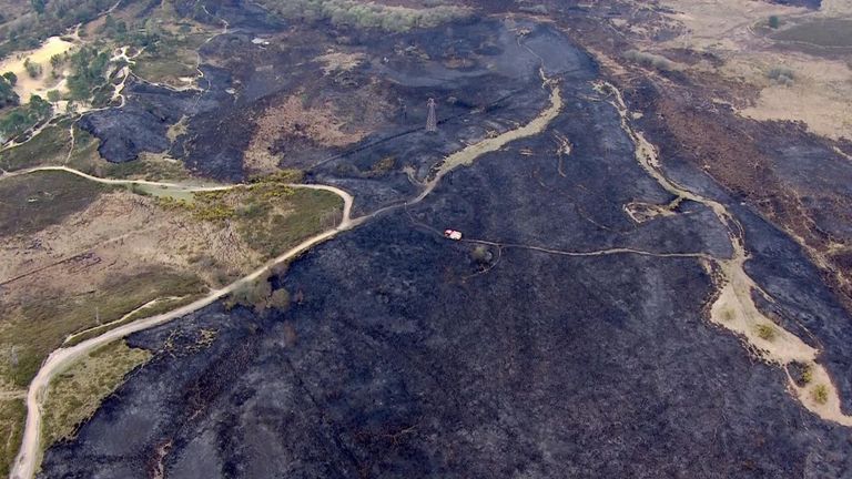 Wildfires in Dorset