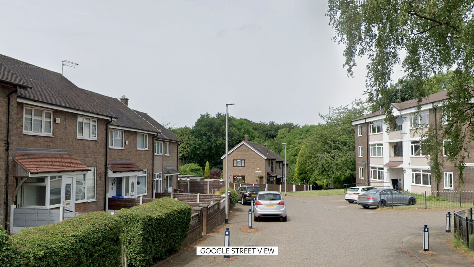 Toddler suffers 'serious' and 'life-threatening' injuries in Manchester dog attack