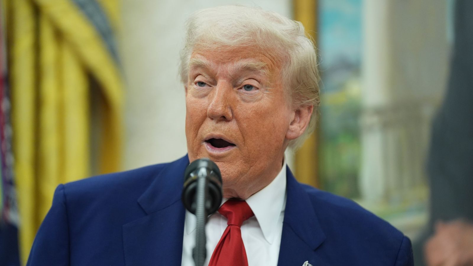 Federal judges rule Trump tariffs can stay in place for now - as president rages at trade court's 'country threatening decision'