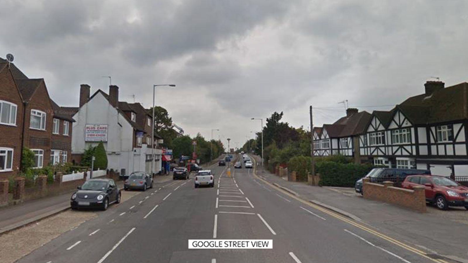 Teenage boy and girl admit torturing and killing two kittens in London