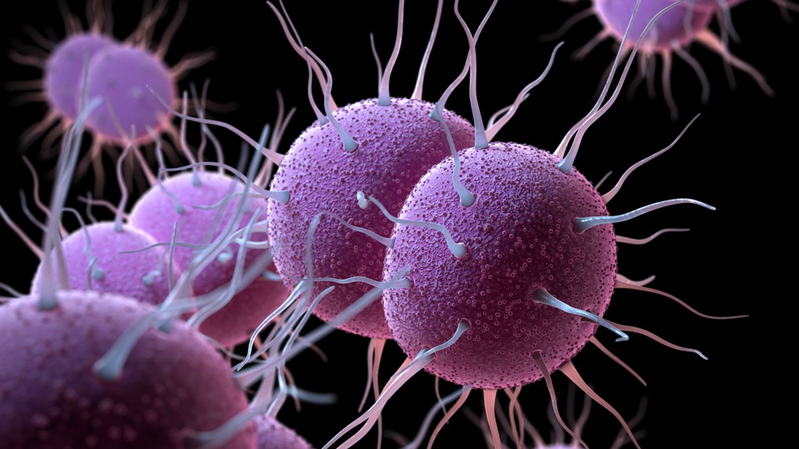 ‘World-first’ gonorrhoea vaccine programme approved for England amid record number of cases