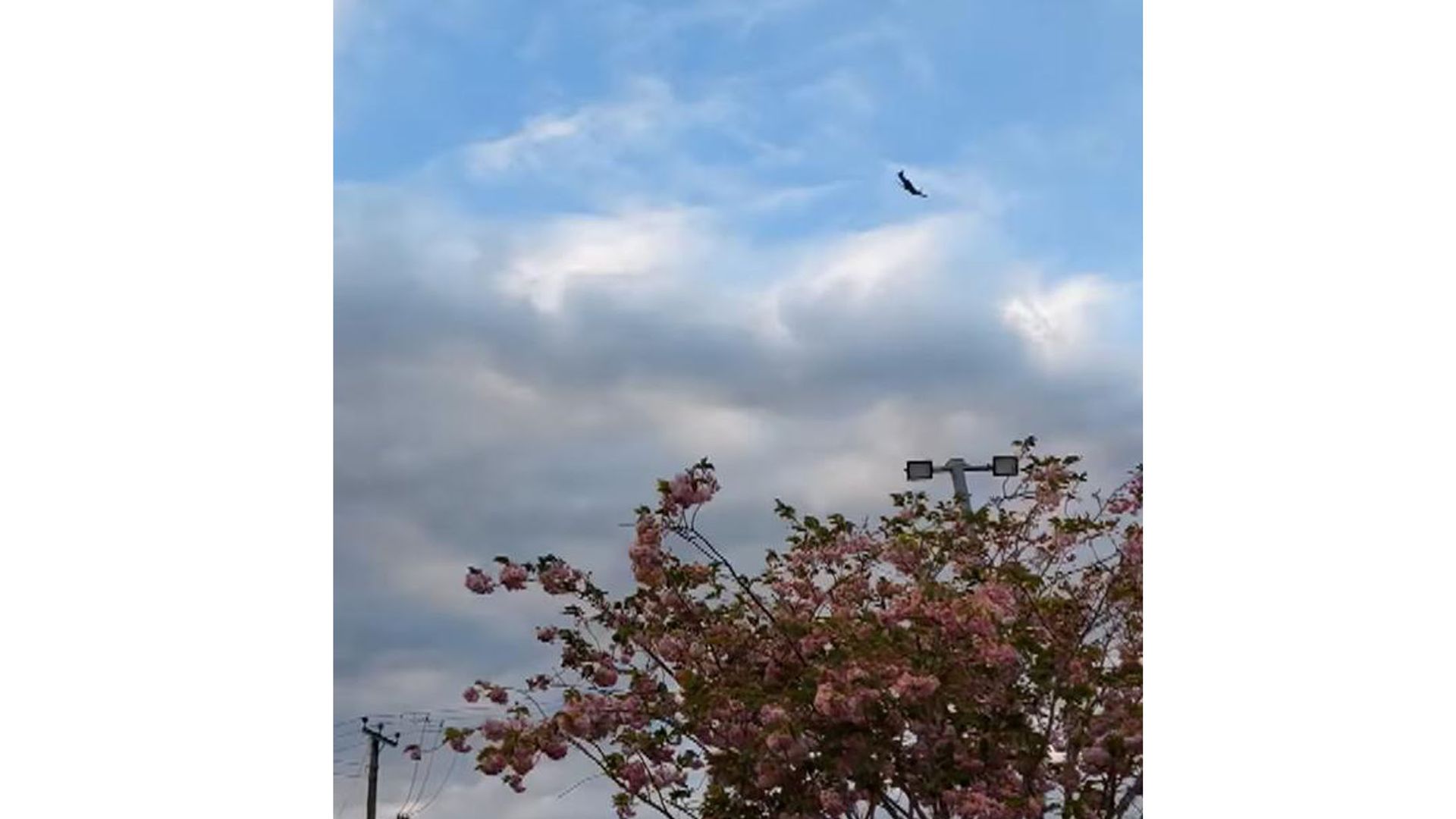 Second World War fighter plane crashes in Kent