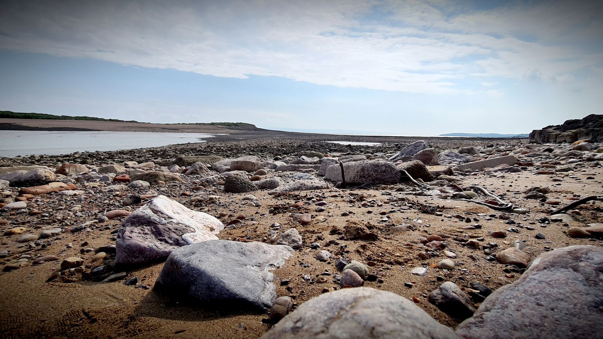 Foragers rescued from island after eating suspected poisonous plant