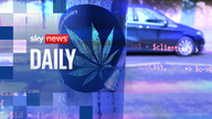 Who are the gangs behind the cannabis home delivery service?
