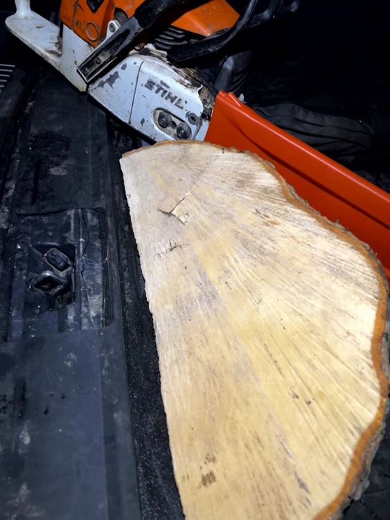 Chainsaw and chunk of wood never found. Pic: PA