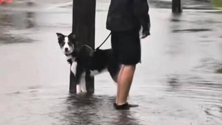 Heavy rainfall causes severe floods in New Zealand