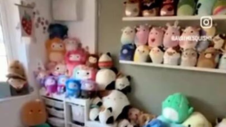 squishmallows
