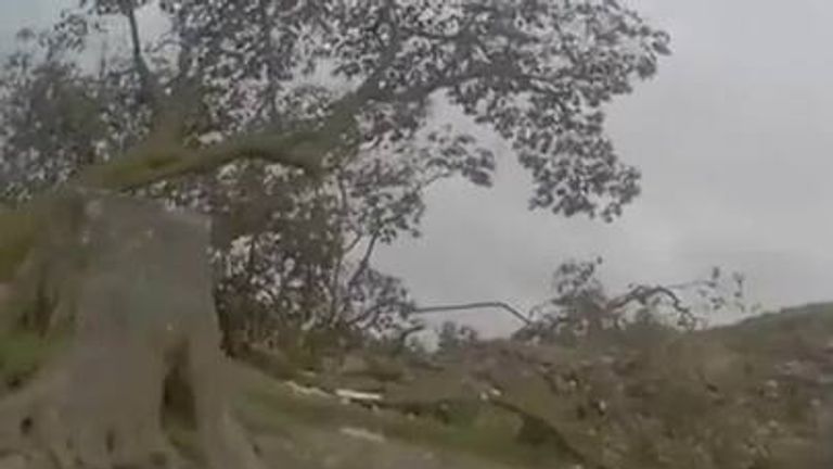 Footage of the first officer arriving after the Sycamore Gap tree felling