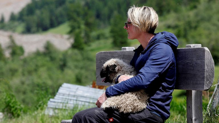 A woman holds a sheep, which was carried by helicopter in Wiler, near Blatten, Switzerland, May 29, 2025. REUTERS/Stefan Wermuth    