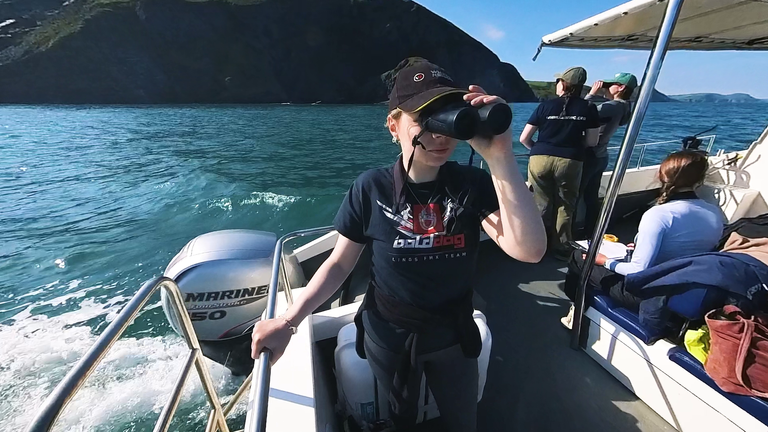 Scientists on the hunt for dolphin poo.