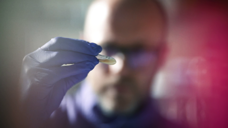 A scientist analyses a sample
