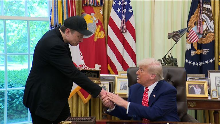 trump  musk 