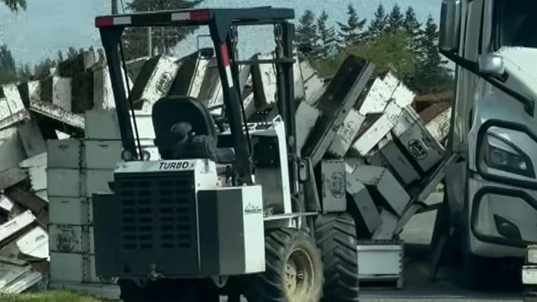 Pic: Whatcom County Sheriff's Office
