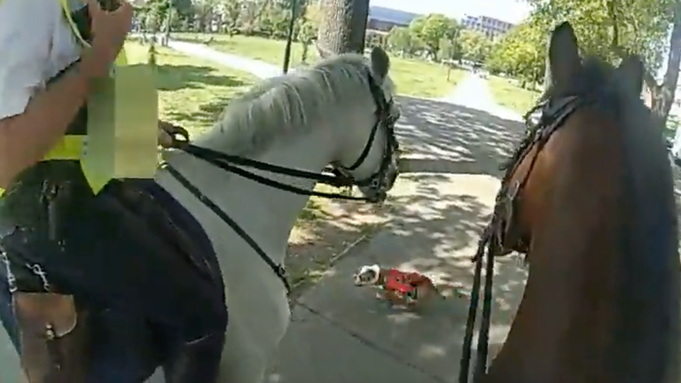 Met Police appeal for witnesses as footage shows two of their horses being attacked by dog