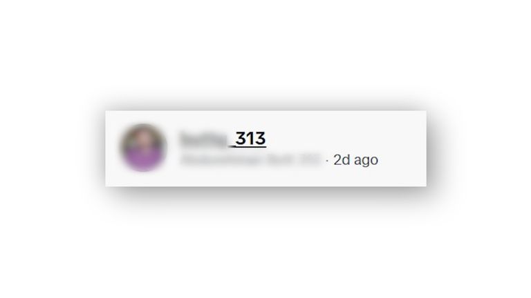 The TikTok account that posted video footage of the destruction of the mosque has 313 in their caption.