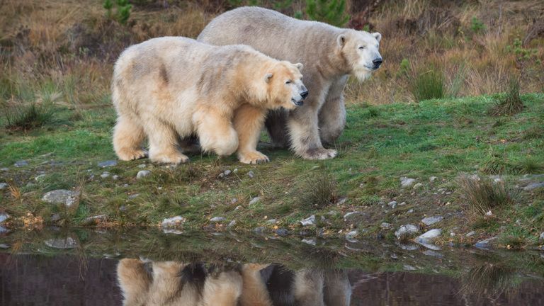 Victoria and Hamish. Pic: RZSS