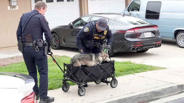 Police help rescue dogs from a home after a small plane crashed into a San Diego neighborhood earlier, setting several homes on fire and forcing evacuations along several blocks, Thursday, May 22, 2025. (AP Photo/Gregory Bull)