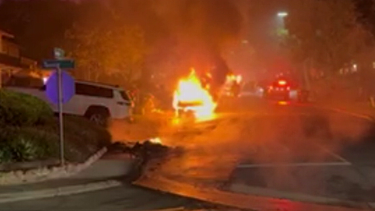 Pic:Forrest Gallagher/NBC San Diego
