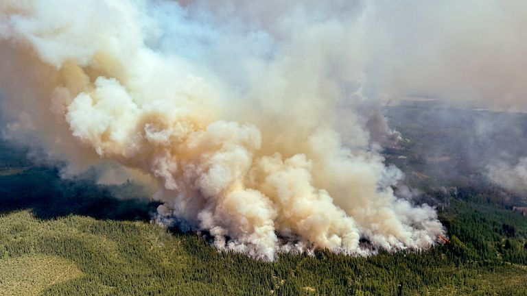 Smoke rises from wildfire LWF090, the Caribou Lake Wildfire.
Pic: Reuters