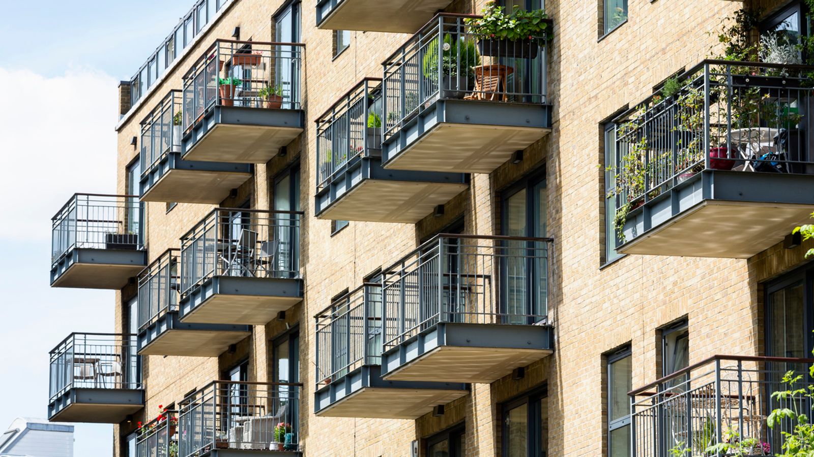Money blog: The features which could add thousands to the value of your home – but only at the right time of year | Money News
