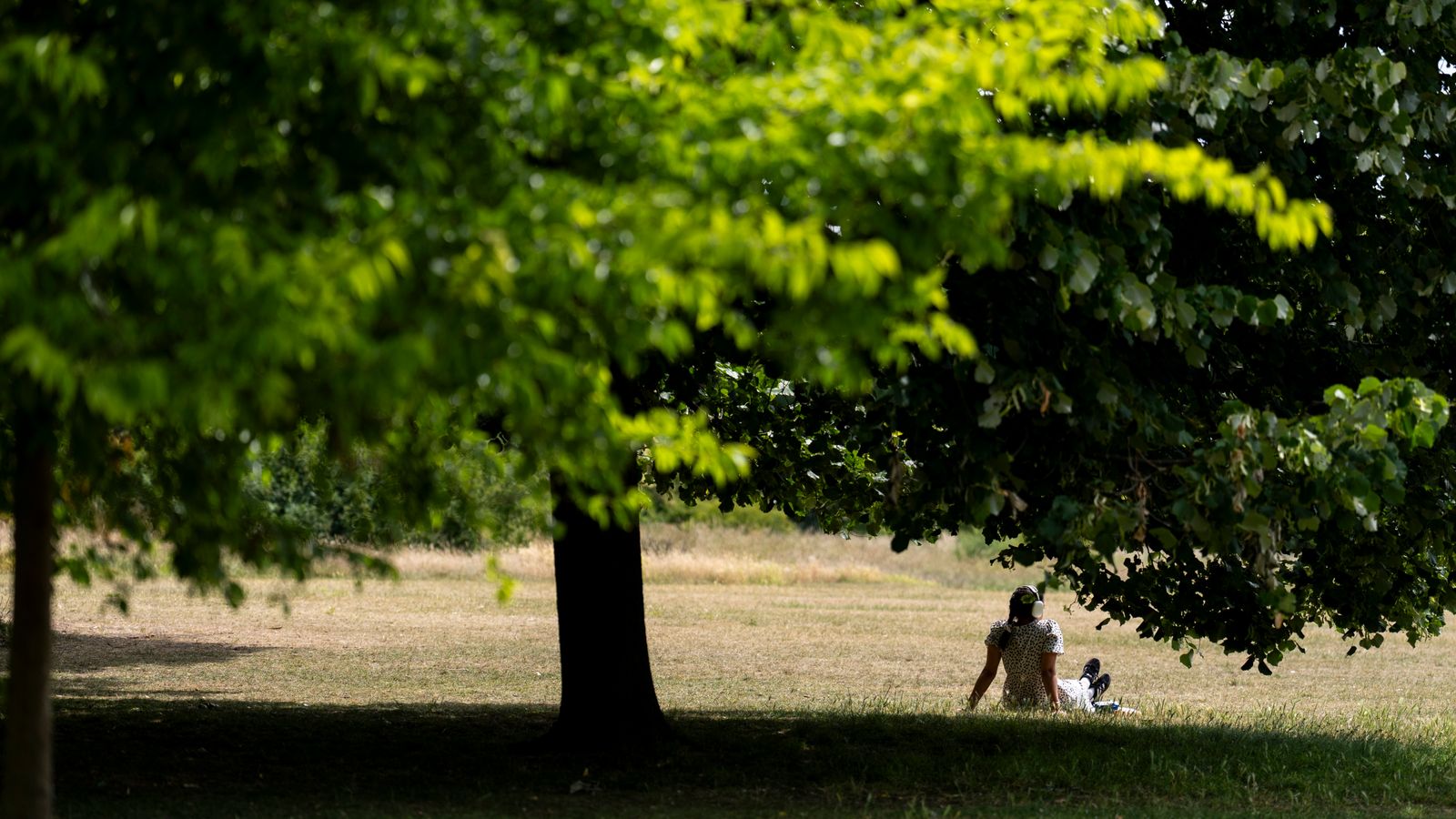 Yellow heat health alerts issued for most of England