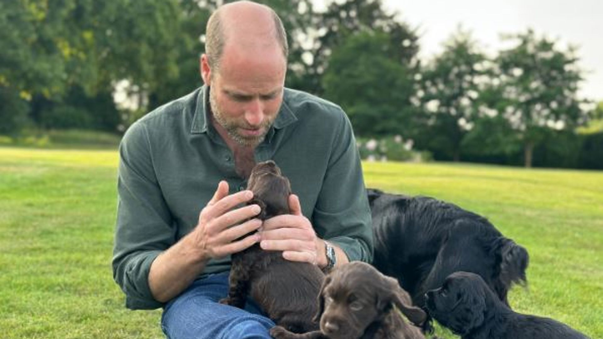Prince of Wales's 43rd birthday marked with new picture