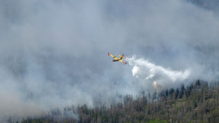 Водяной бомбардировщик сбрасывает груз на лесной пожар в провинциальном парке Нопиминг в Манитобе. Фото: Правительство Манитобы