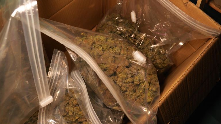 Cannabis