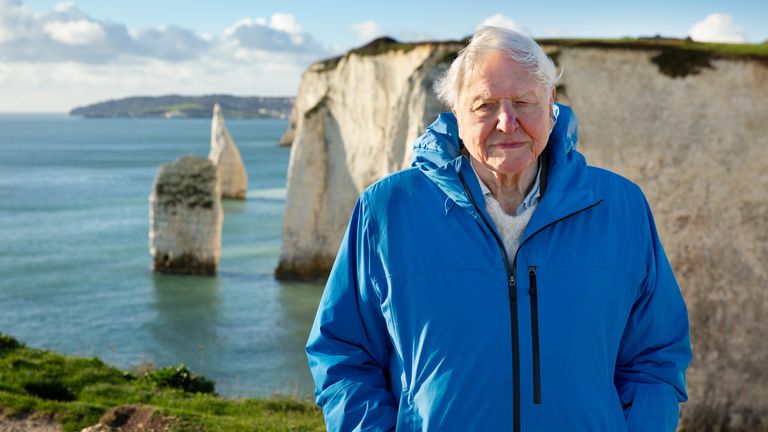 Davidborough está em Atientborough em pé na praia da praia britânica de seus novos mares de ouro. Imagem: PA